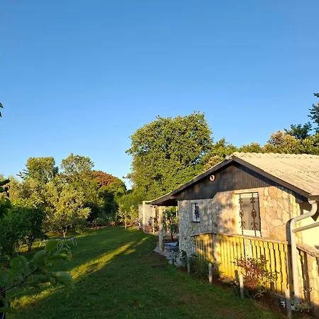Charming Olive Tree House With Pool - Pet Friendly Feriehus Šišan