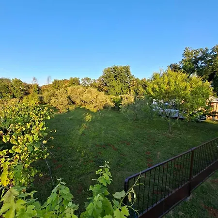 Charming Olive Tree House With Pool - Pet Friendly