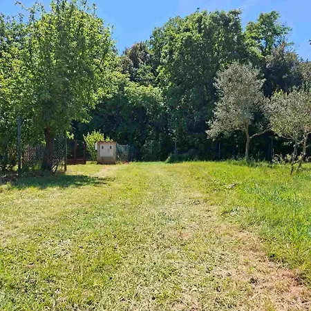 Charming Olive Tree House With Pool - Pet Friendly Feriehus *
