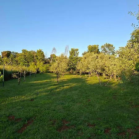 Ferienhaus Charming Olive Tree House With Pool - Pet Friendly