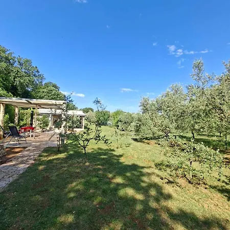 Charming Olive Tree House With Pool - Pet Friendly Šišan