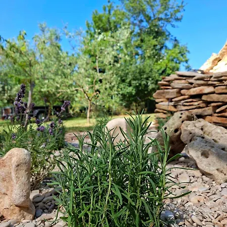 Charming Olive Tree House With Pool - Pet Friendly Feriehus Šišan